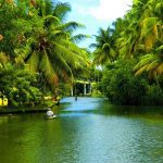 visit kerala during monsoon