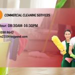 professional house cleaning