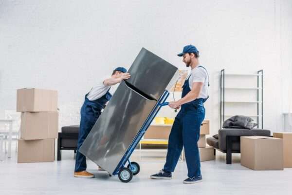 movers in dubai