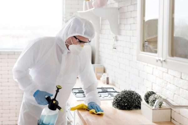 mold remediation st petersburg fl