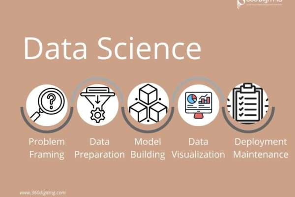 data scientist