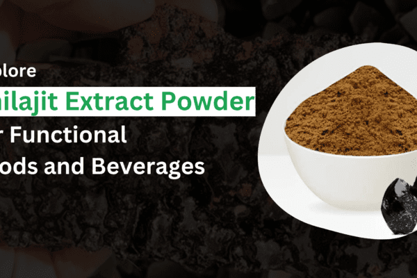 shilajit extract powder