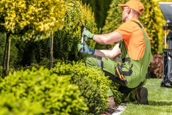 landscaping services in eagle