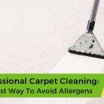 professional carpet cleaning