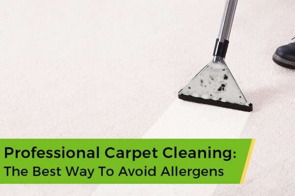 professional carpet cleaning