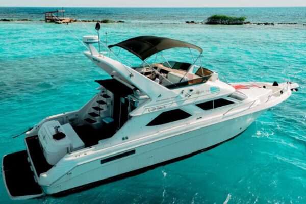 yacht charter