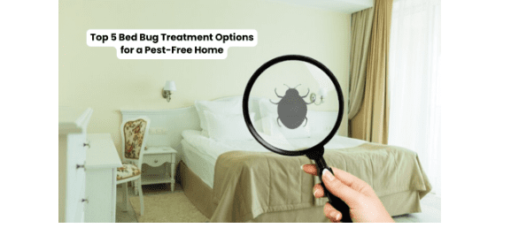 bed bug treatment