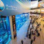 dubai mall aquarium