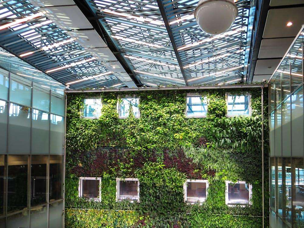 green walls