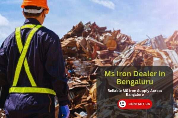 ms iron