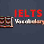 vocabulary and grammar