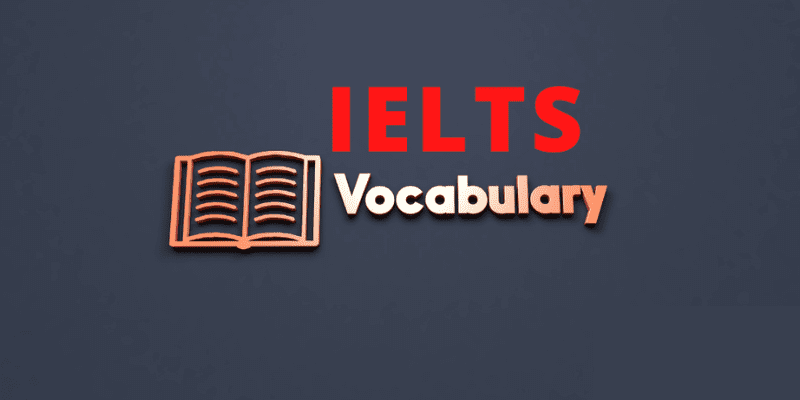 vocabulary and grammar