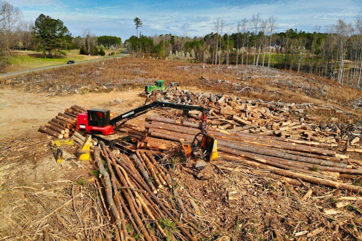 lot and land clearing services