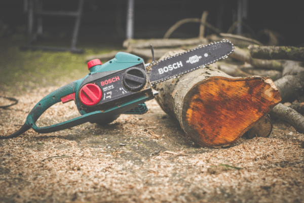 repurposing fallen trees